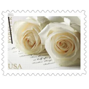 Wedding Roses 2011-5 Sheets / 100 Pcs
