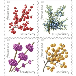 Winter Berries-2019-100Pcs