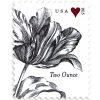 Vintage Tulip-2015-100Pcs
