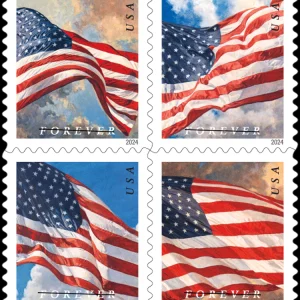 Flag 2024 Booklet-5 Booklets / 100 Pcs