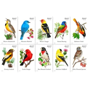 Songbird 2014-5 Booklets / 100 Pcs