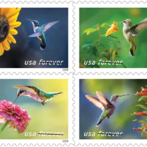 Garden Delight 2024-5 Booklets / 100 Pcs