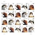 85c Birds of Prey: Golden Eagle 2012-USPS Forever Stamps（Sheets） - Image 2