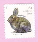 Bunny Week 2021- USPS Forever Stamps（Sheets）