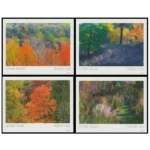 Autumn Colors 2024- USPS Forever Stamps（Sheets）