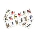 Birds in Winter 2018 - USPS Forever Stamps（Books） - Image 2