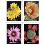 Cactus Flowers 2019 - USPS Forever Stamps（Books）