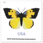California Dogface Butterfly 2019- Non-machinable for Square Stamps（Sheets）