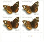 Common Buckeye Butterfly 2006 - USPS Forever Stamps（Books）
