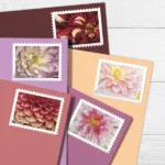 Dahlias 2025- USPS Forever Stamps（Sheets）