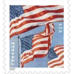 US Flag 2022- USPS Forever Stamps（Coil） - Image 2