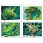 Frogs 2019- USPS Forever Stamps（Books）