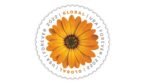 Global African Daisy 2022- USPS Forever Stamps（50Pcs）