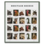 Heritage Breeds 2021- USPS Forever Stamps（Sheets） - Image 2