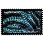 Life Magnified 2023- USPS Forever Stamps（Sheets） - Image 4