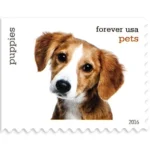 Pets Celebrate Animals 2016- USPS Forever Stamps（Books）