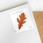 Vibrant Leaves 2025 (postcard)- USPS Forever Stamps（Sheets） - Image 2