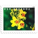 Wild Orchids 2020- USPS Forever Stamps（Books） - Image 3