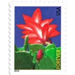 Winter Flowers 2014- USPS Forever Stamps（Books）